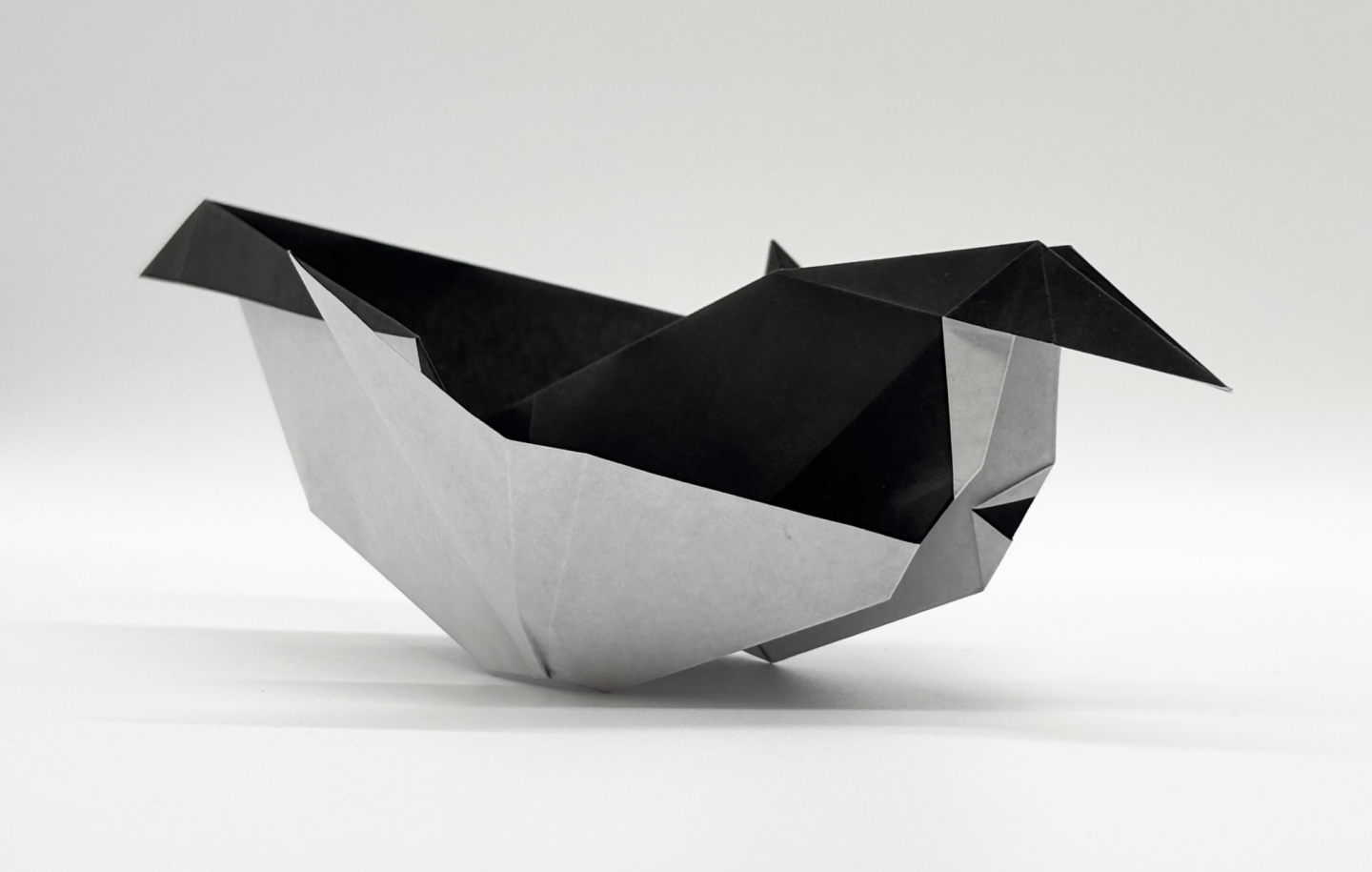 kouga online origami着用 Origami_zuki | CFC Origami