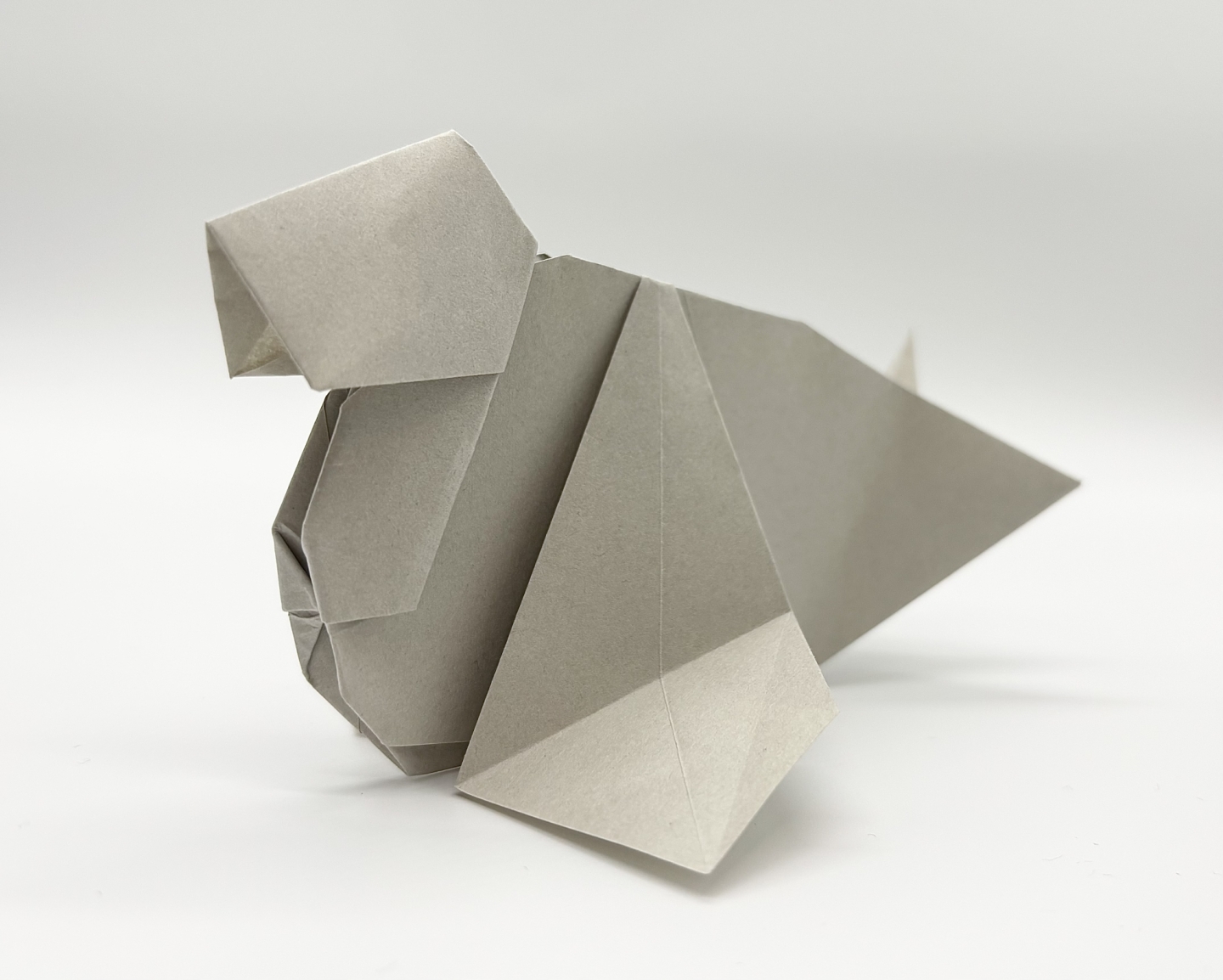 Origami_zuki | CFC Origami