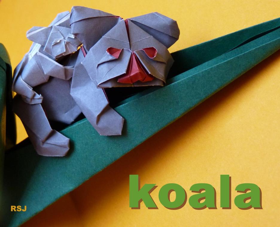 Koala