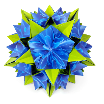 Katrina Blooming variation