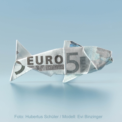 Origami Fish by Evi Binzinger