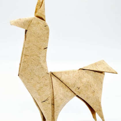 Llama, diagram available, tutorial on my channel