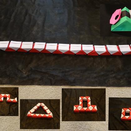 Santee Snake and Santee Swivel