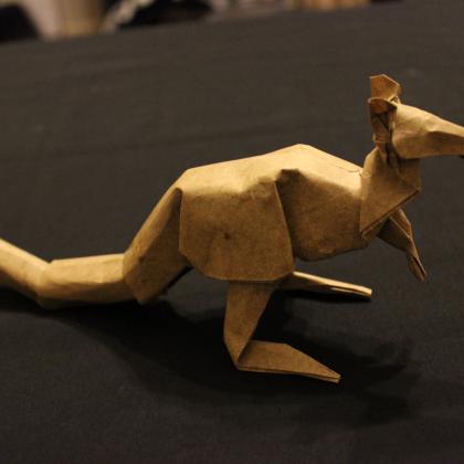 Kangaroo by Steven Casey 