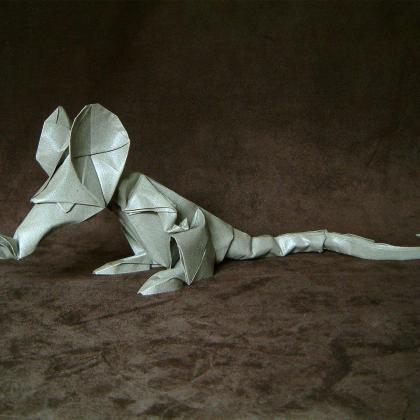 Rat, an iconic model.