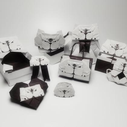 Tiger change origami