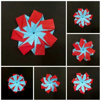 Modular Flower Star