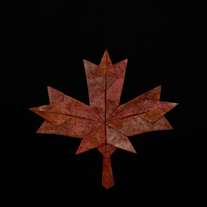 Maple Leaf