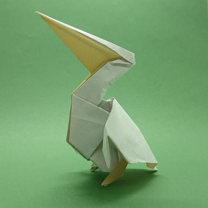 Pelican