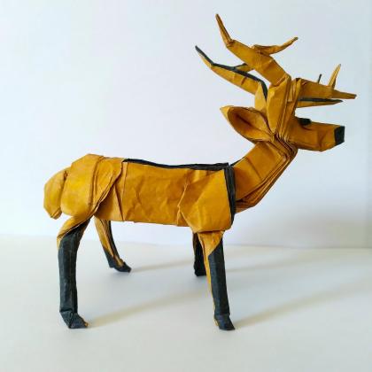 Cervo-do-pantanal 1.5