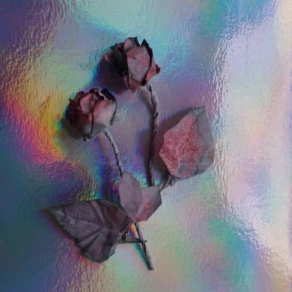 Sprintgtime Rose with the leaf - natural dyed paper 