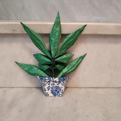 Wall planter