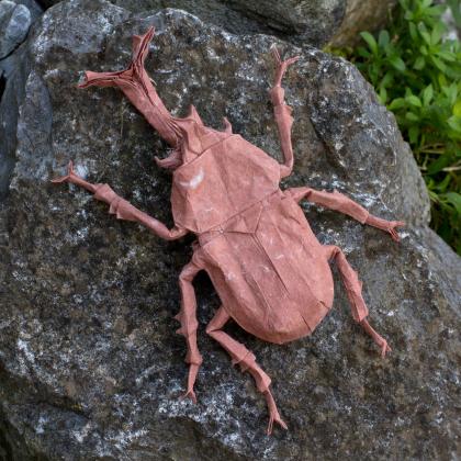 Samurai Helmet Beetle 2.0