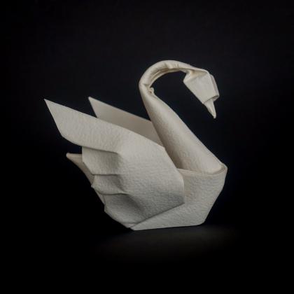 swan