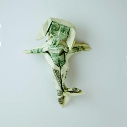 Image by Olya Gugnyak