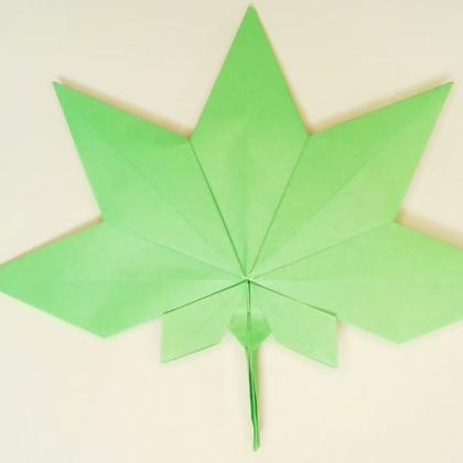 Maple leaf