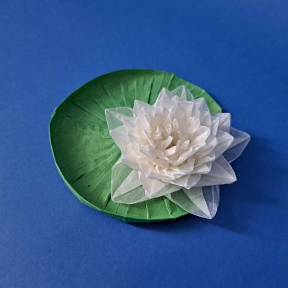 Water lily v1 (leaf from seperate sheet)