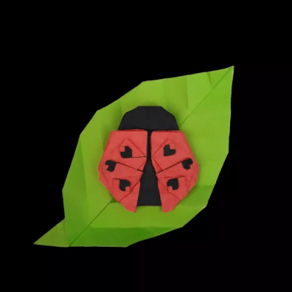 Ladybug