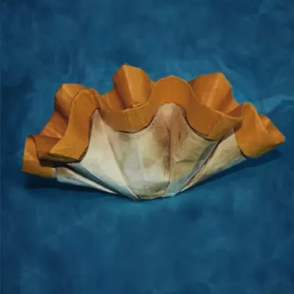 Clam with extended mantle 