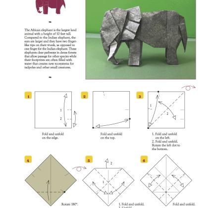 Photo of elephant plus 1st page of diagrams.
