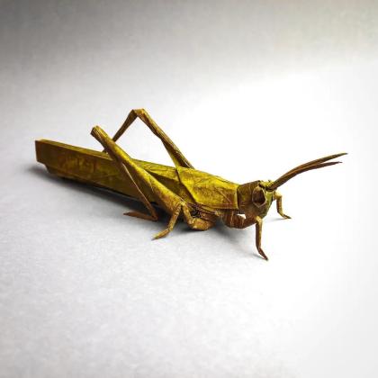 For more information visit my Instagram   https://www.instagram.com/p/C0g8-eZL8CC/?igsh=MTdvYnd4b2xyMHdwaQ==