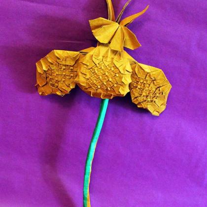 Orchid and butterfly