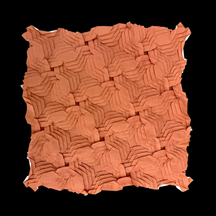 Whispers of Fallen Leaves