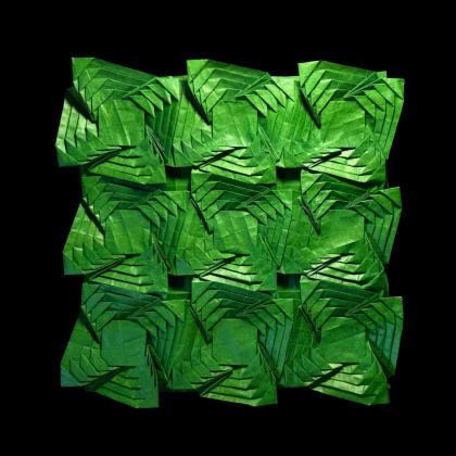 Crazy Christmas Trees