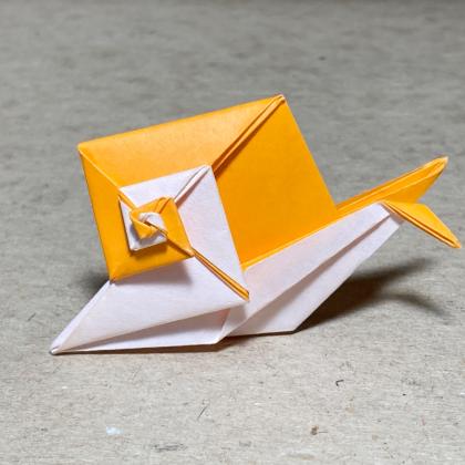 An angular snail with a white-and-orange shell