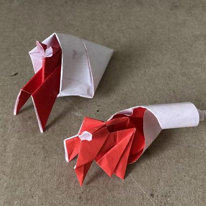 Two different hermit crabs, both with red bodies and white shells