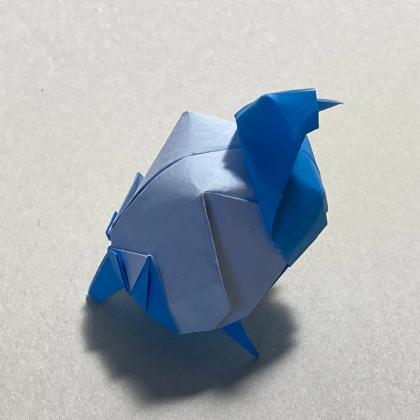 A round blue bar pigeon facing right