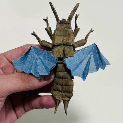 飛ぶハサミムシ