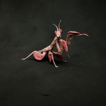 Orchid mantis