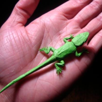 this is the image of an origami lizard