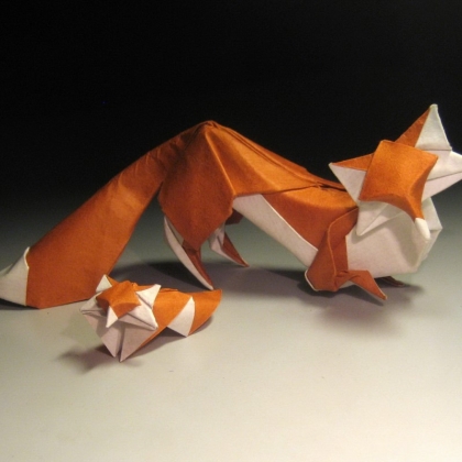 Foxes 2009