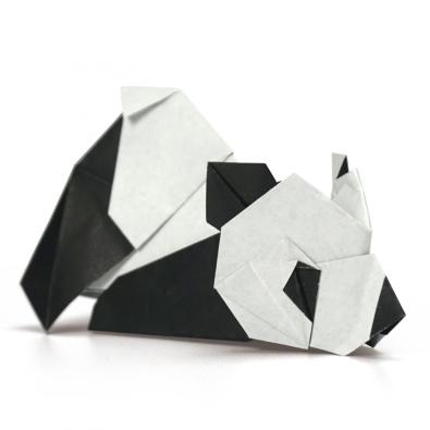 Profile picture for user ChenXiao