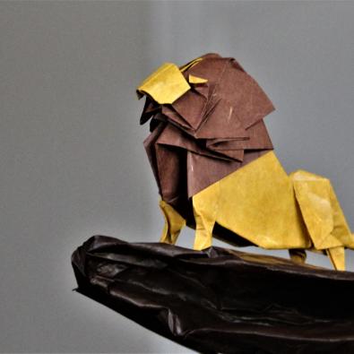 Profile picture for user xudongguan