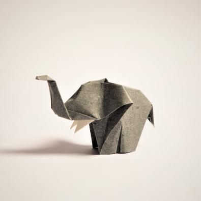 Profile picture for user Djangorigami