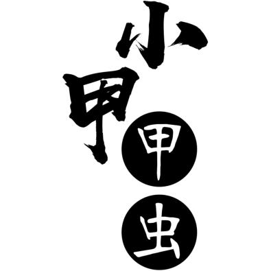 Profile picture for user 小甲甲虫