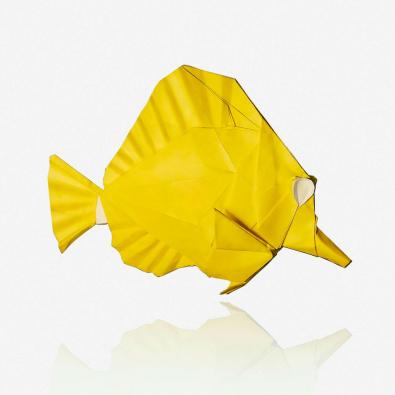 Profile picture for user st