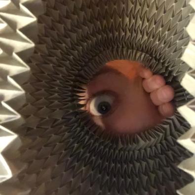 Profile picture for user o.rigasmus