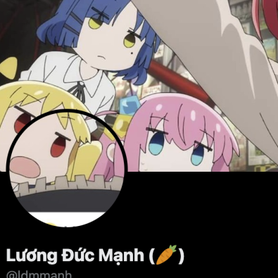 Profile picture for user ldm291
