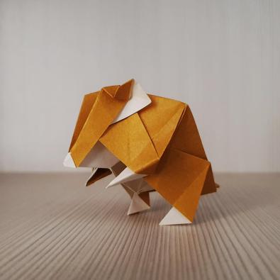 Profile picture for user Folding in Italy