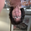 Profile picture for user helensgoodideas
